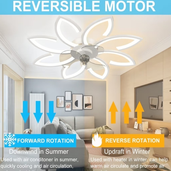 Flower Ceiling Light and Fan - Picture 7 of 11